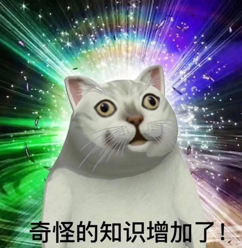 公立校、私塾、国际校，连换3种学校，听这位妈妈谈择校经验
