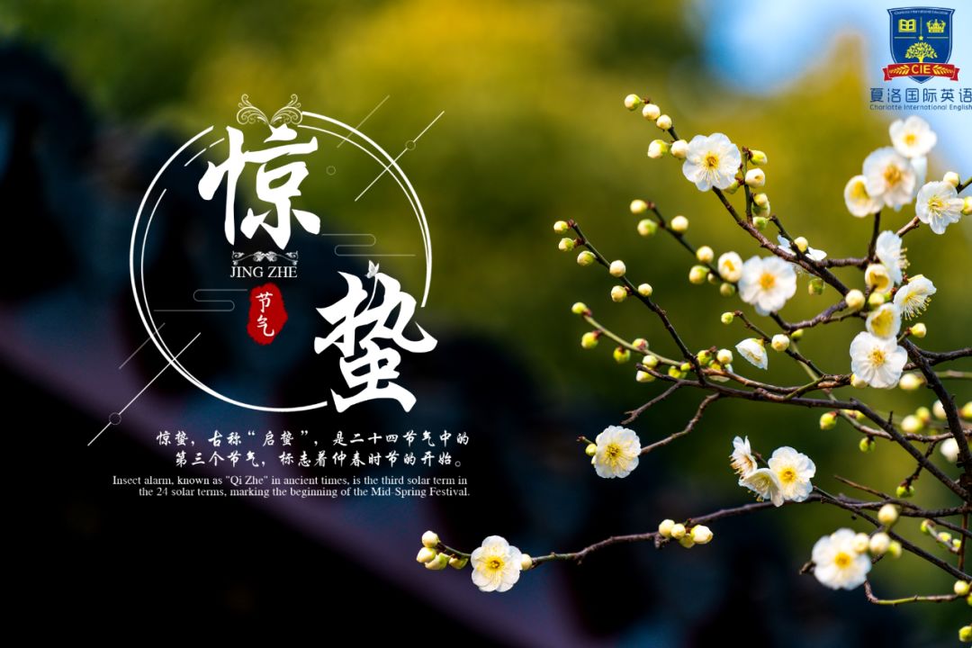 今天“惊蛰”，英语怎么说？