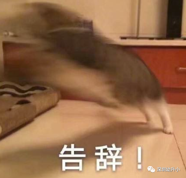 无需租赁材料！深圳2023年入学提前一年做好这件事！可申请公办！