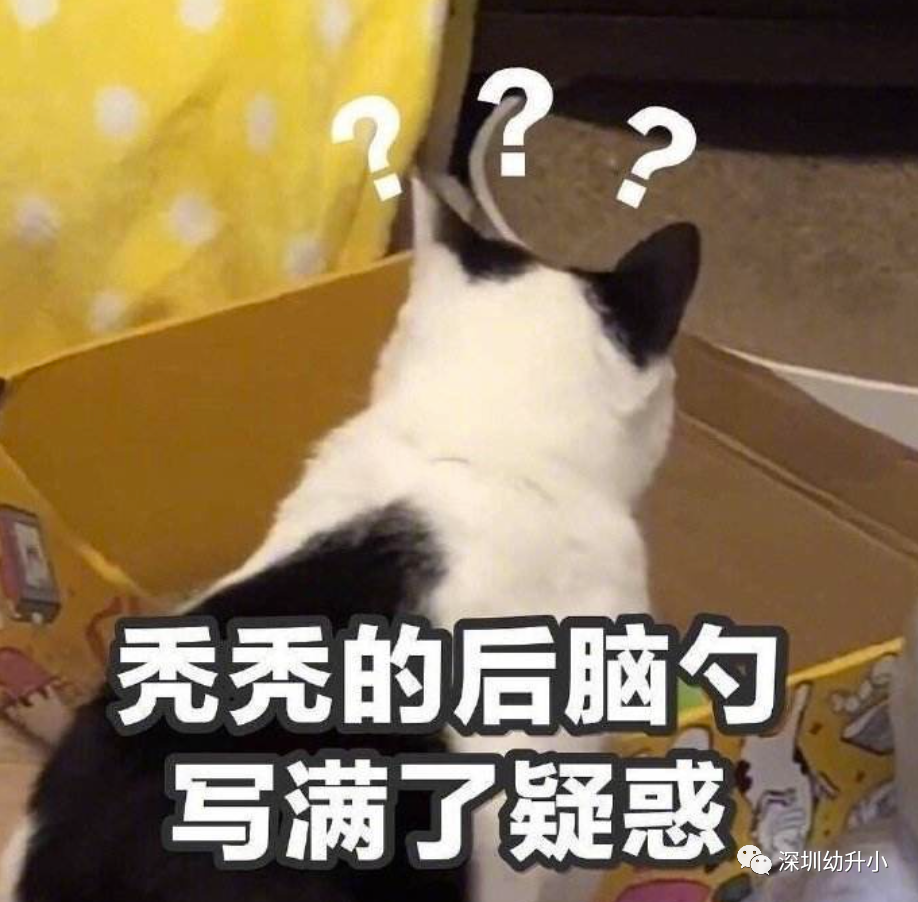 深圳学位申请时各区特殊房产要求