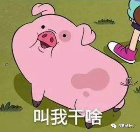 深圳6大升学禁忌！看你踩中没？