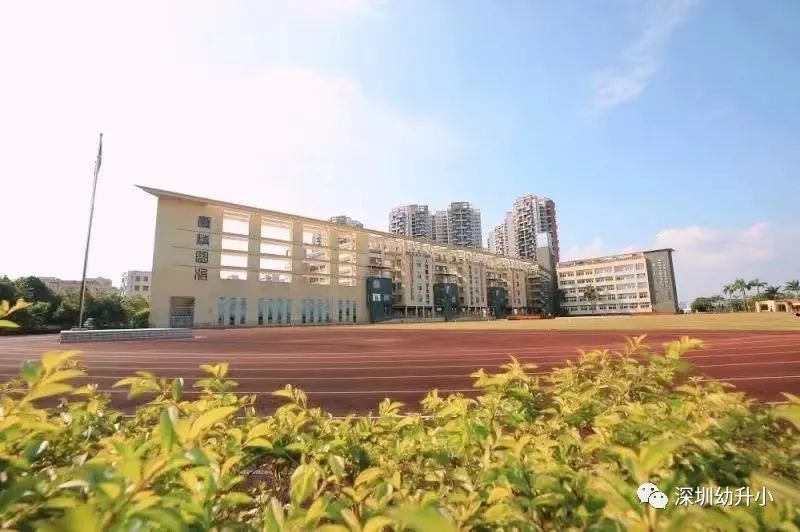 深圳实验学校坂田校区怎么样？