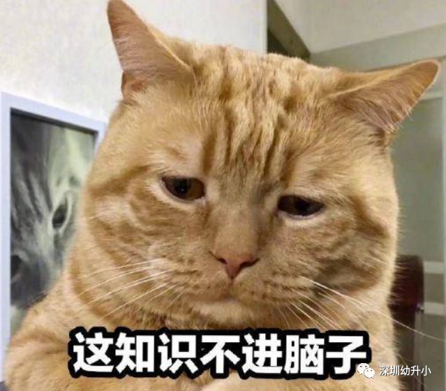 很多资料来不及准备怎么办？深圳各区教育局回复了！