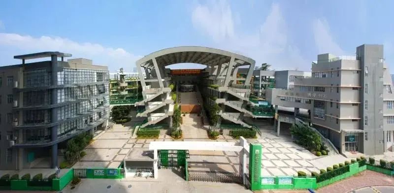 牛娃走进学校系列之丨南山第二外国语学校