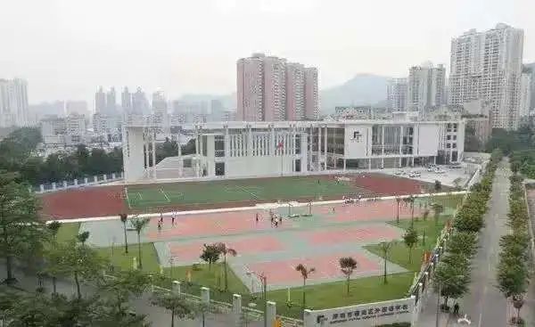 牛娃走进学校系列之丨福田外国语学校
