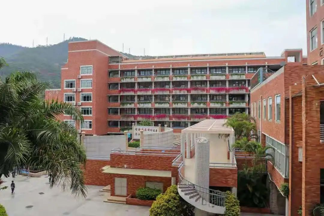 牛娃走进学校系列之丨深大附中