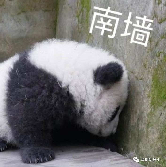 非深户在深圳上公办，千万别忘办理这个证！还可以申请补贴，每年最高9000元！