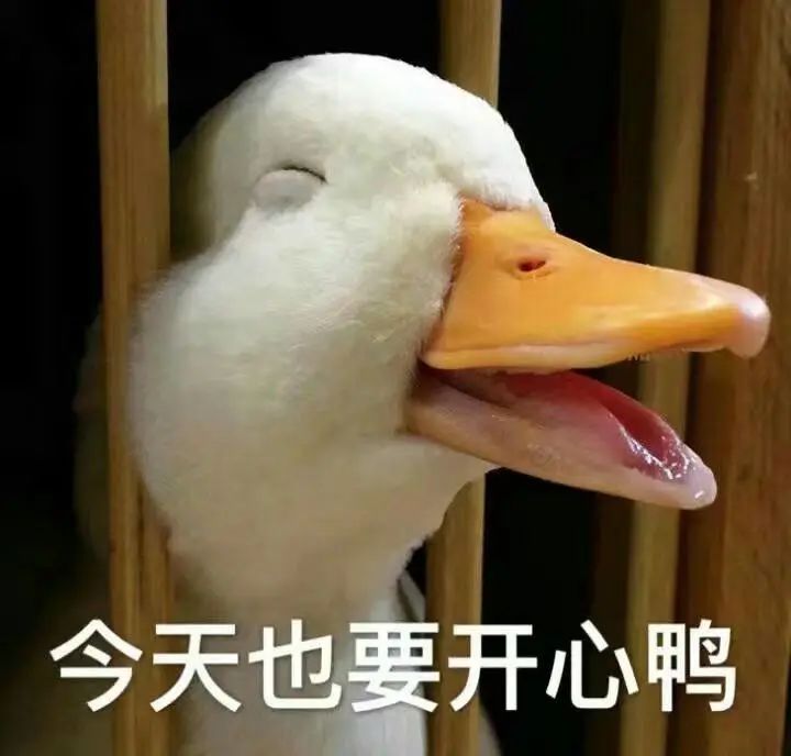 不限户籍！深圳这两区2022年春季民办补贴退费申请开始！附申报指引