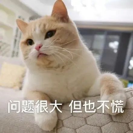 考生分享 | 找对答题方法，朗思口语真的能考满分！！