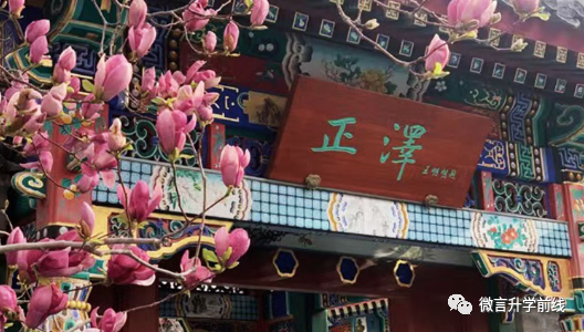 2022年北京市正泽学校招生简章