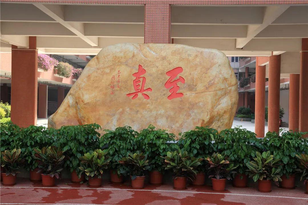 【十六中学】十六中初中2022年招生简章