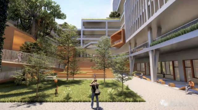 深圳市龙岗区龙岭学校（公办班）
