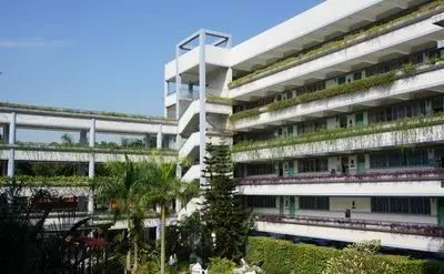 小升初福田区热门学校：莲花中学北校区（公办）