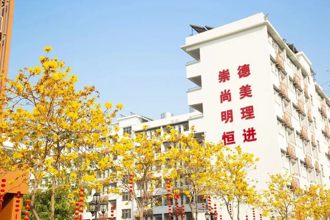 广州选校攻略：3万左右/学期的民办初中，推荐这三所