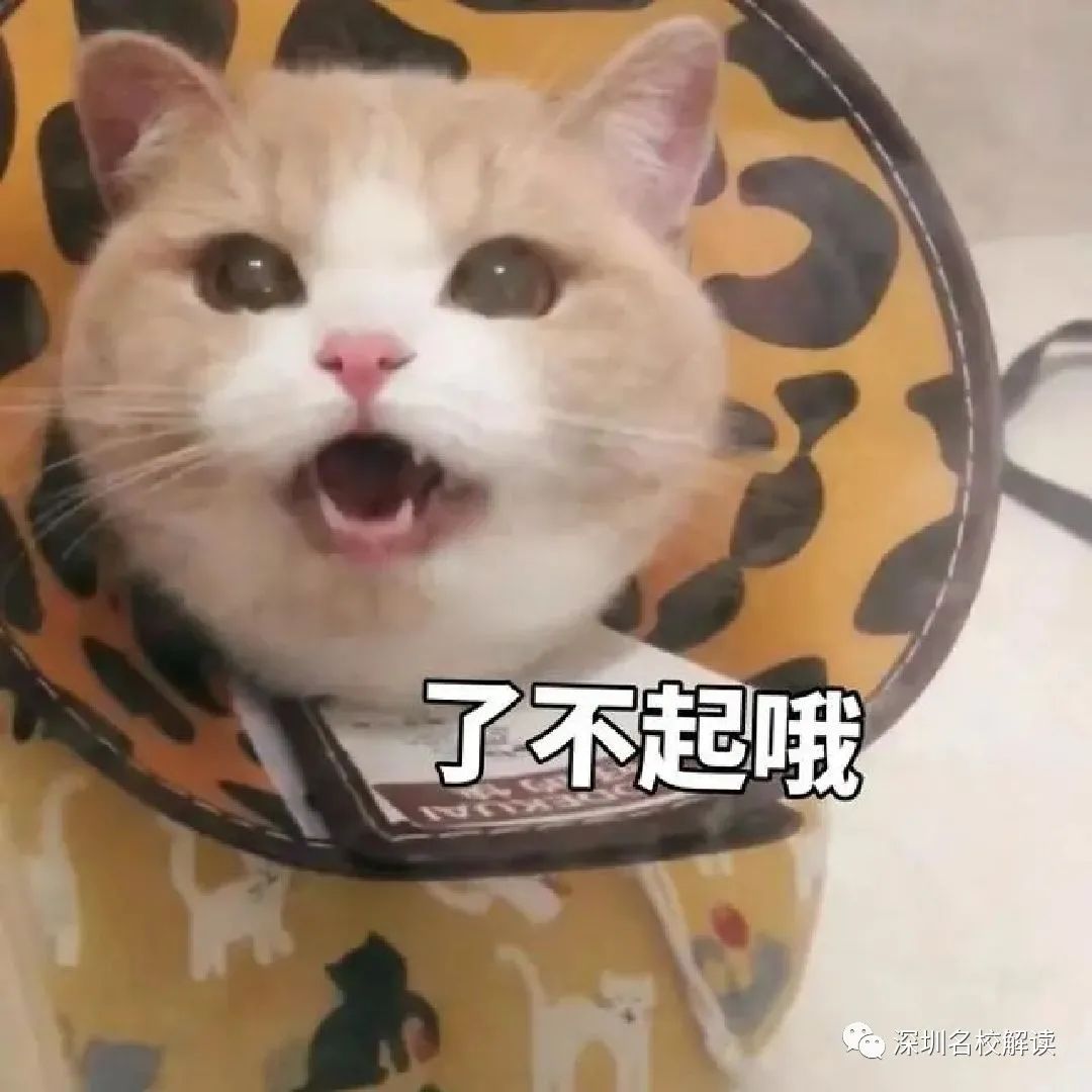 自带名校光环！深圳这所一体化的私立学校，师资一流！还有独特的国际课程！