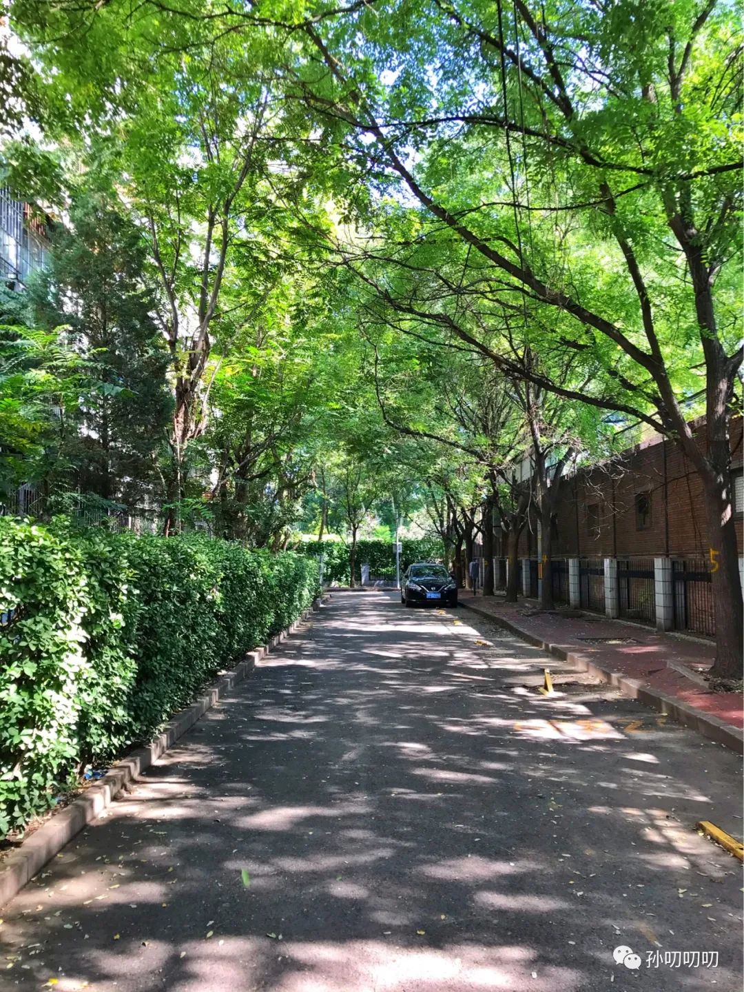 <b class="text-danger">东城</b>和平里！刚需户型和改善三居！和平里“九三学园”！小黄庄二区如何？