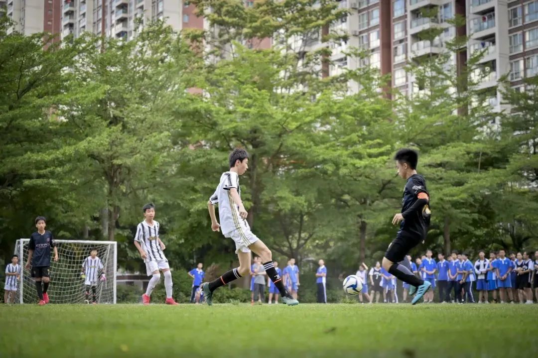 深圳中学龙岗初中部图片