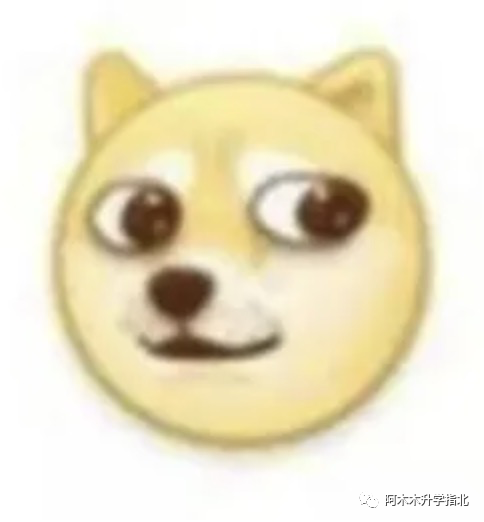 小升初后分班考：考察可能不在仅限于纸面