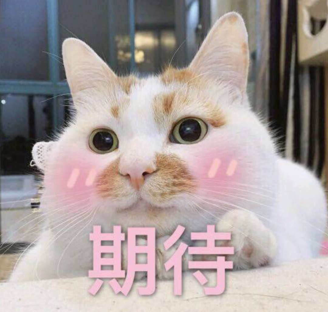 明天速查！2022年深圳又一区录取结果公布！有异议可在线申诉！
