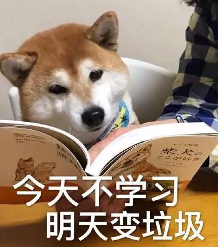 二年级具备PET学习能力的他，这个暑假都做了什么？