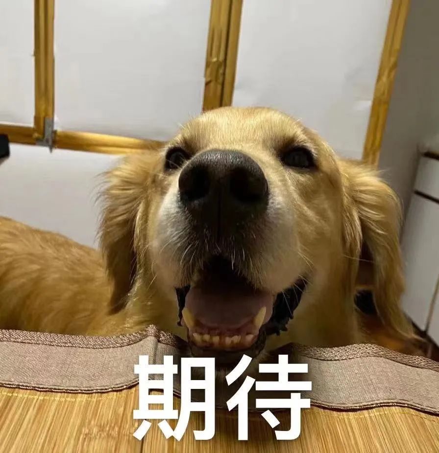 定了！8月份，深圳有这些大事发生！