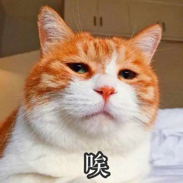 还有学位！深圳这区小一初一志愿补征进行中！附后续录取安排！