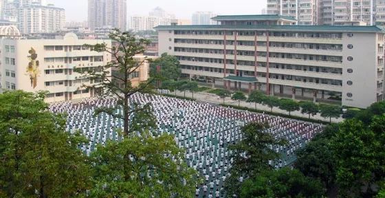 挖掘名校信息 | 中山大学附属中学