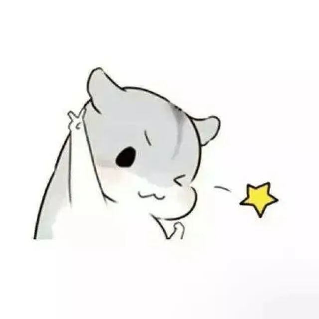 未被录取怎么办？2022年深圳跨区招生即将开始！