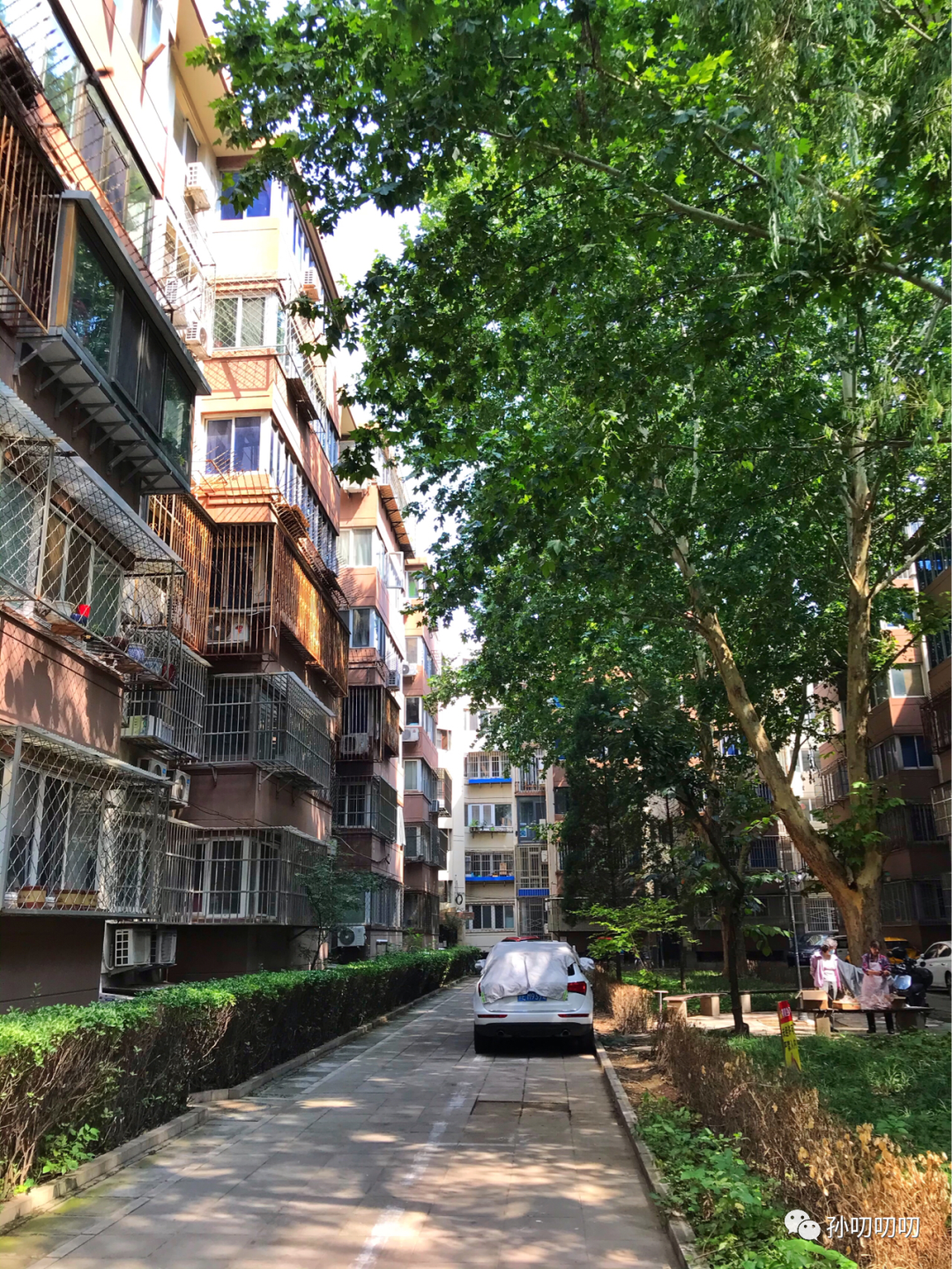 东直门外！六层板楼大三居！西中街小学！胡家园26号院如何？