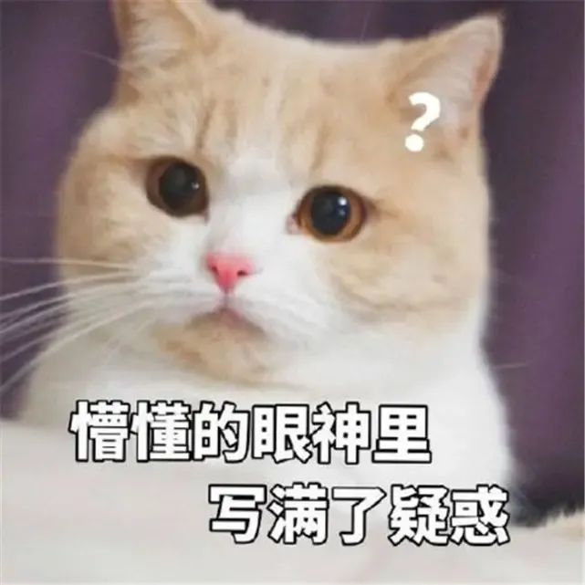 读国际学校是否有学籍？没学籍有啥影响？