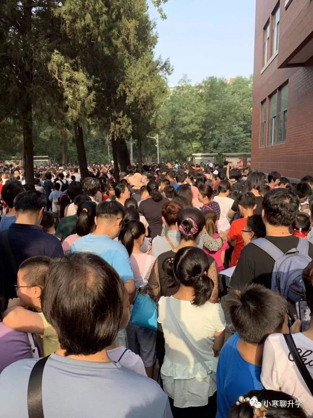 人早培今日初试各批次活动内容！