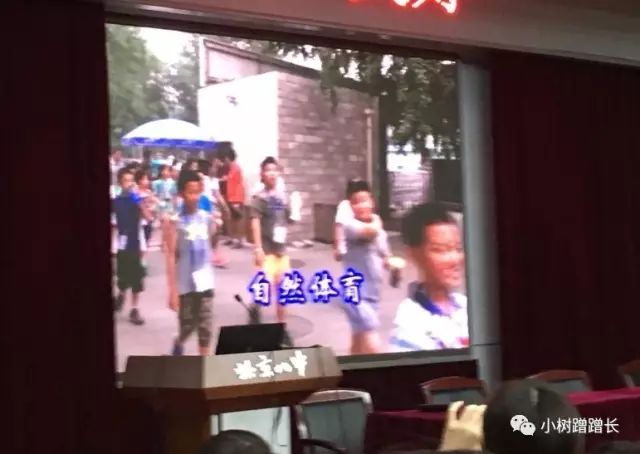 关于报考八少八素的家长关心的一些问题