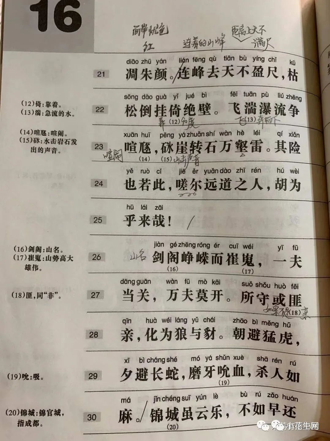 图片