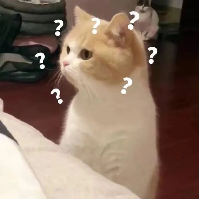 朗思阅读 | 为什么容易拿高分？朗思阅读考点和题型深度解读！