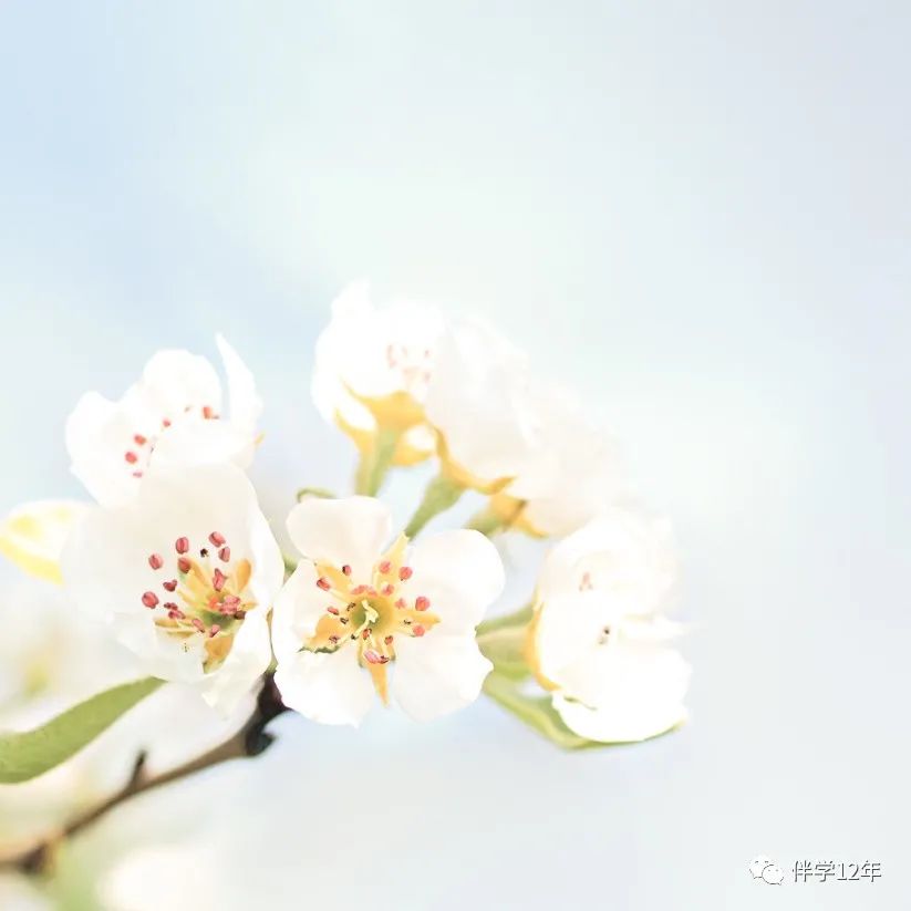 UNLOCK 英语通关“神”教材
