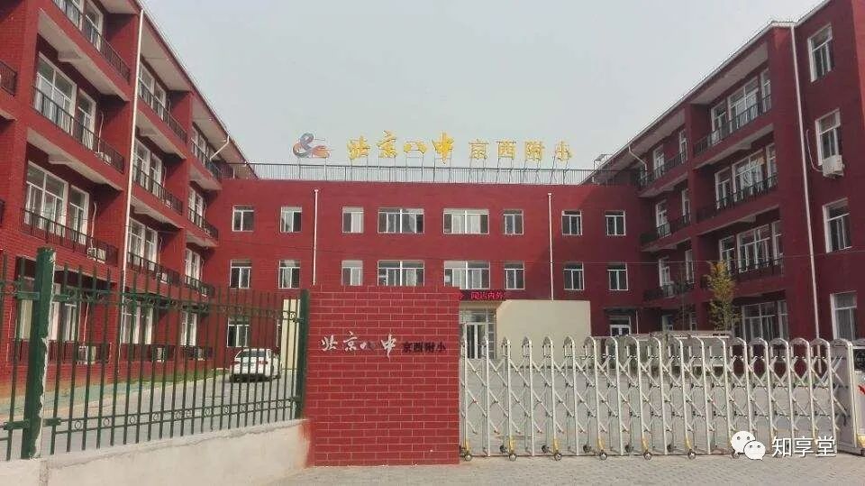 2022年“八少八素”备考指南--有关八少八素，看这篇文章就够了--附往年真题及最全培训资料