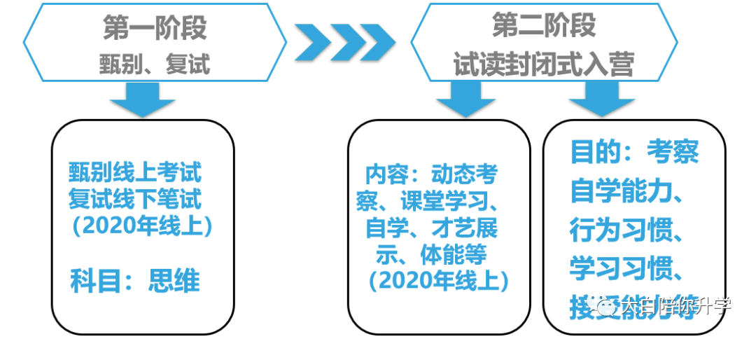 小编带您深入了解八少八素