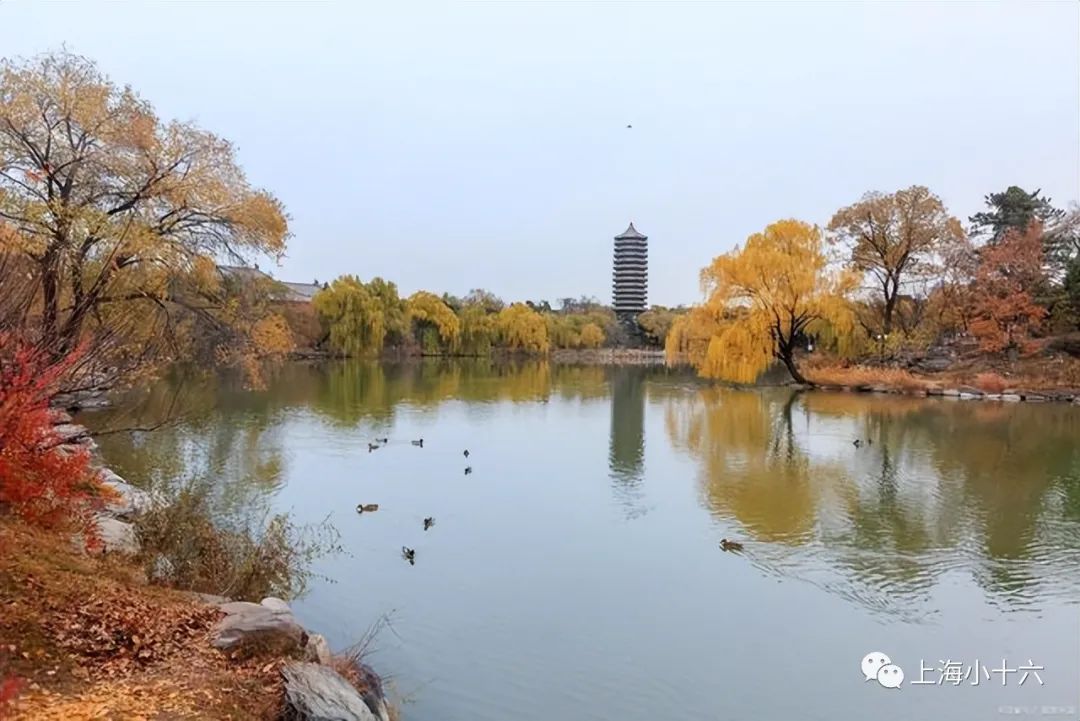 清华北大优秀中学生学科探究拓展活动（附金秋营数学真题）