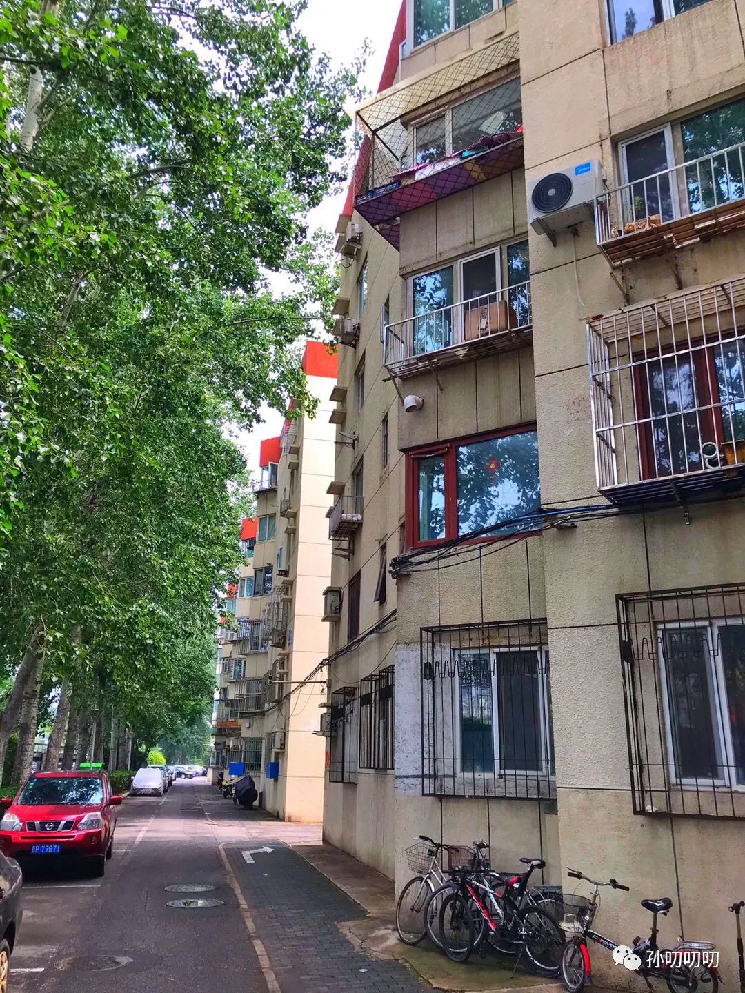 绿化不错！望京刚需！望京西园二区如何？