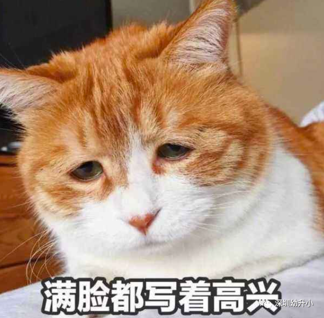 深圳各区小学对口初中出炉！快看你附近的小学对应哪所优质初中？