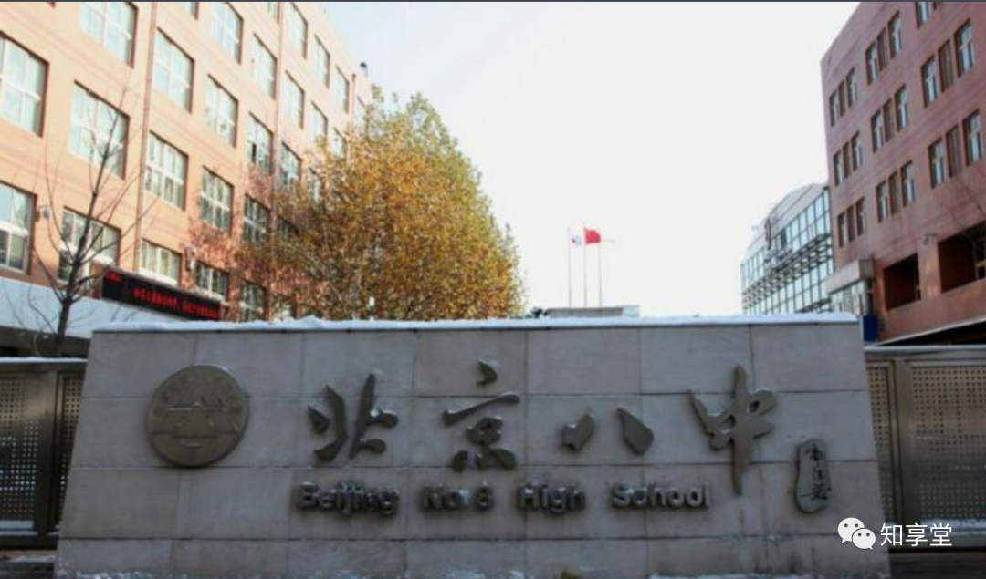 2023年八少八素备考攻略之学习篇----自学还是报班学-