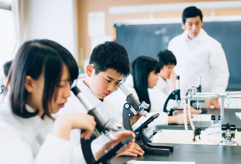少儿编程各阶段学什么？如何规划更科学？