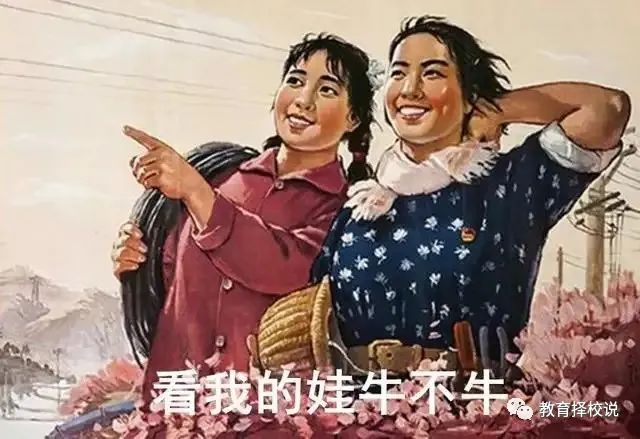 机会！人大早陪班、八少八素你知道多少？这里有解答
