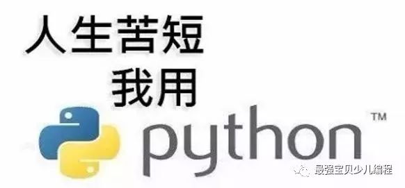 青少年儿童为什么要学习Python开始编程入门?