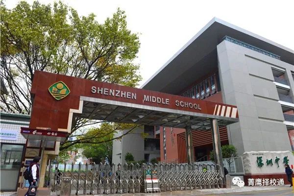 深圳小升初：这些证书全都需要考吗？