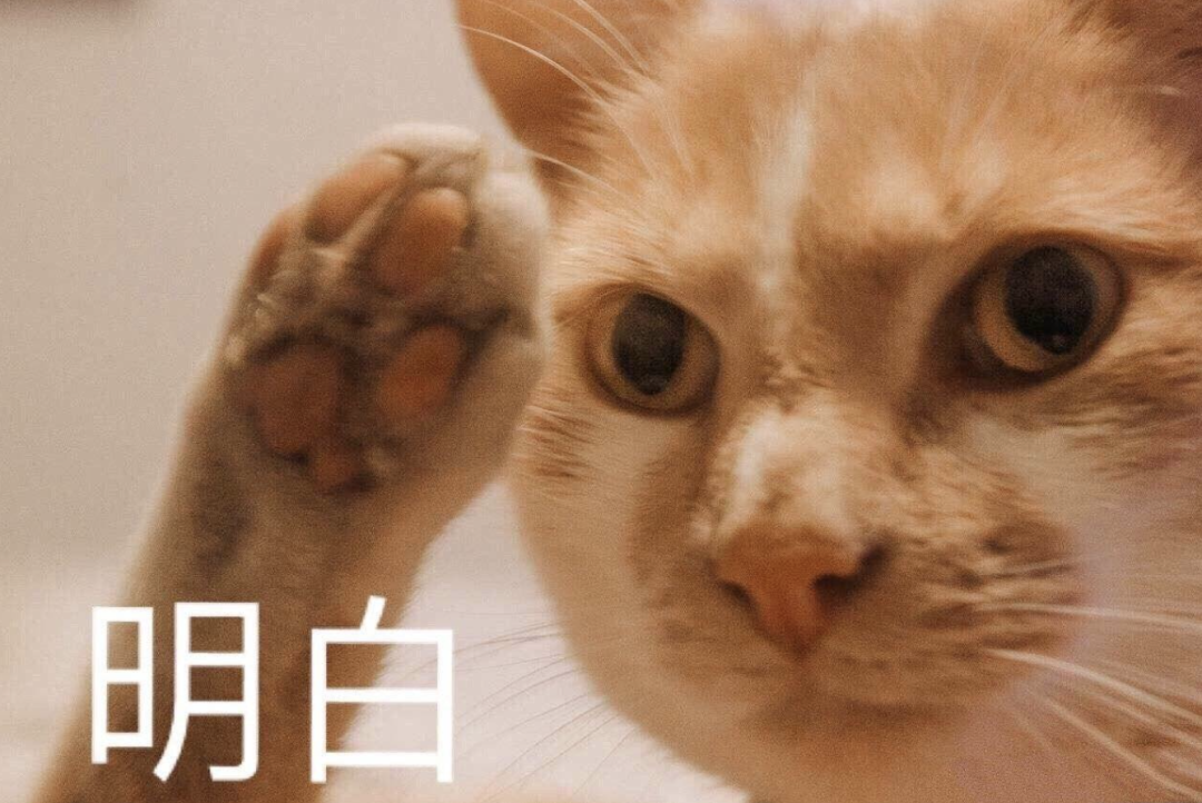 2024年深圳10区居住信息登记时间材料要求！