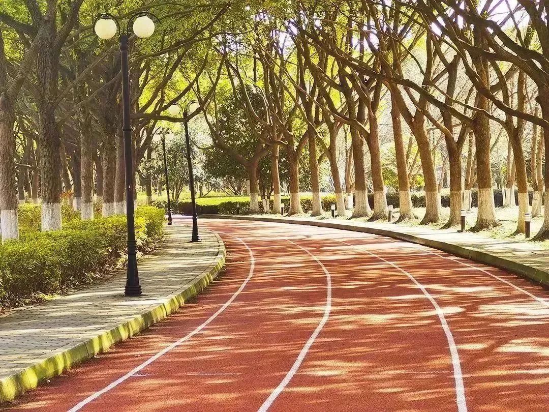 名校领办！北京将增6所实验学校！各区新建优质校最新进展——