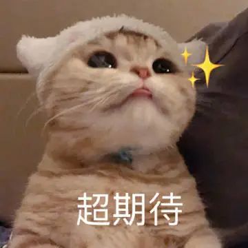 官宣！2023年新增20万学位！深圳又一波新学校曝光！至于何时招生...