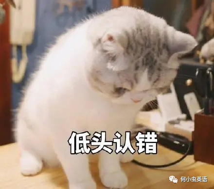 1625课 Time Zones教材含泪吐血整理