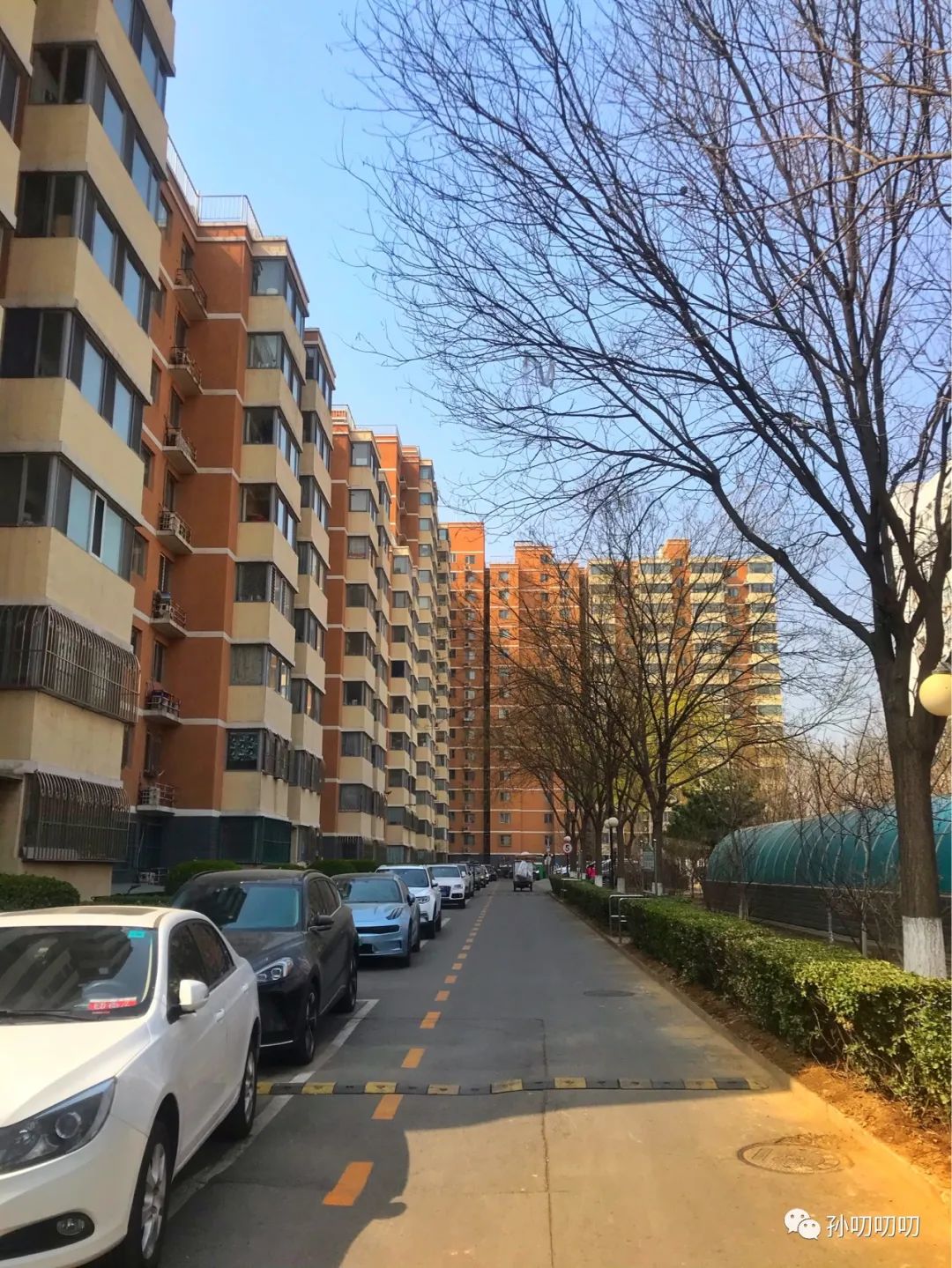 海淀三环里！户型方正环境好！改善三居南北朝向一梯两户！农科院附小！中关村南大街甲8号！